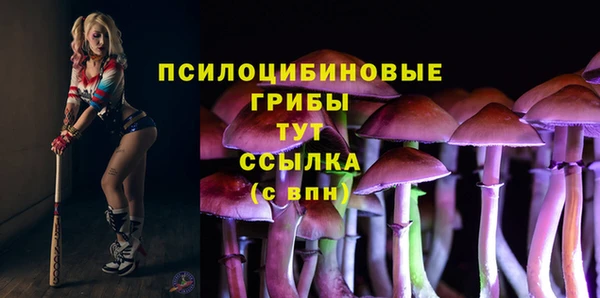 ПСИЛОЦИБИНОВЫЕ ГРИБЫ Аркадак