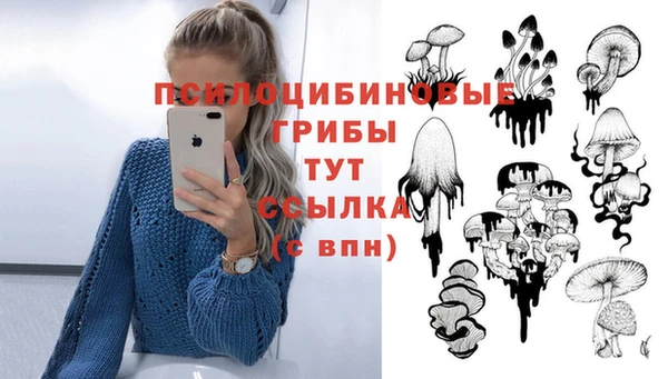 ПСИЛОЦИБИНОВЫЕ ГРИБЫ Аркадак