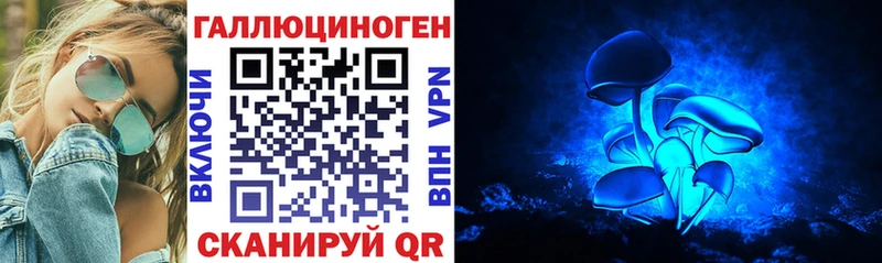 Псилоцибиновые грибы Psilocybe Острогожск